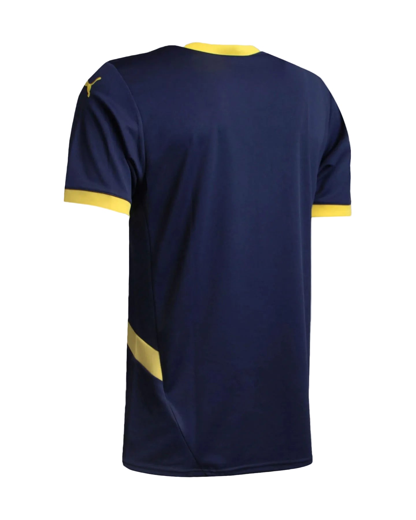 Fenerbahçe Fourth Camiseta 2024/25
