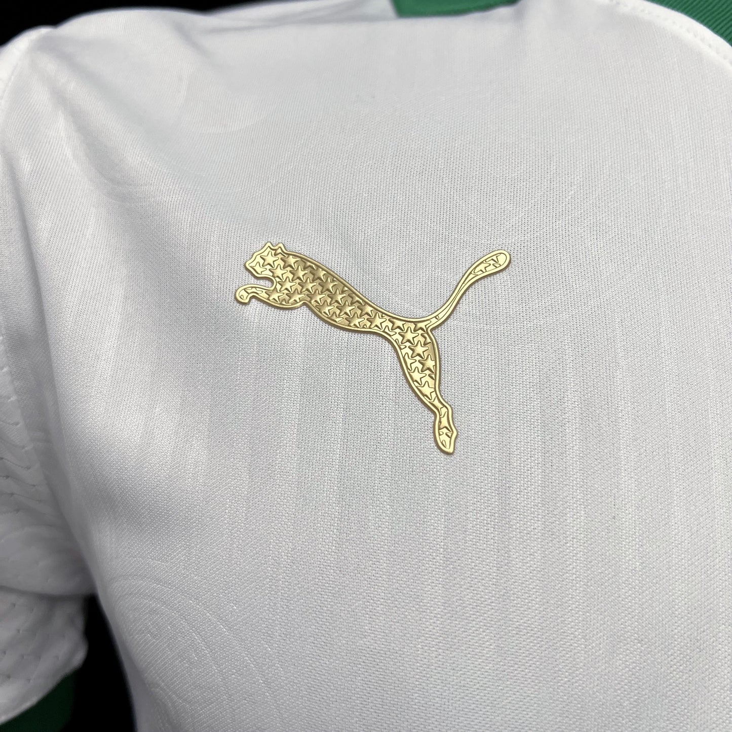 Palmeiras Player Camiseta Visitante 2024/25 - Versión Jugador
