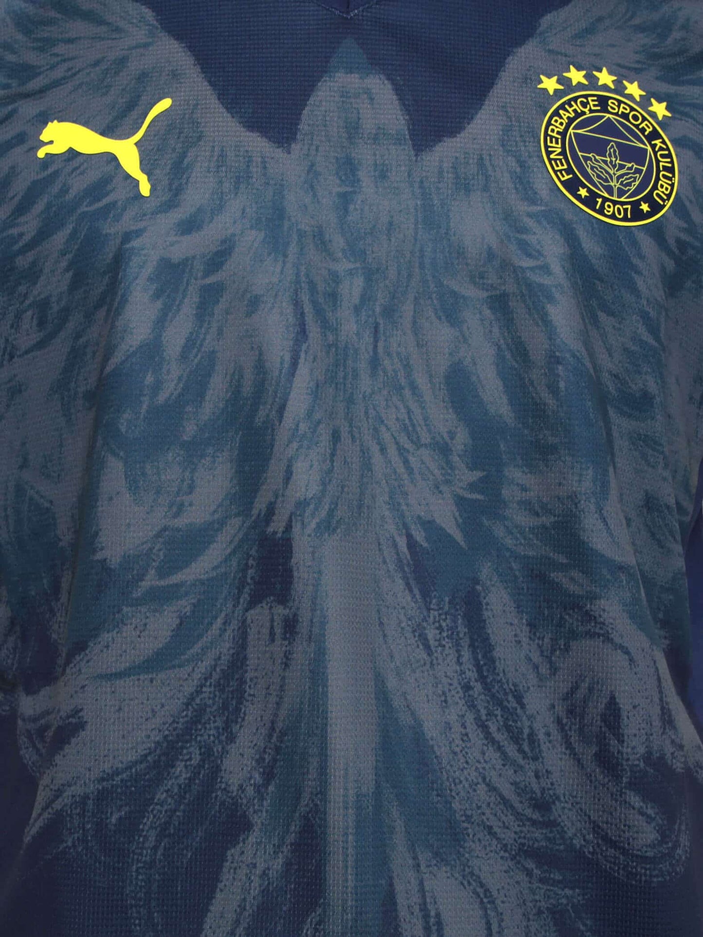 Fenerbahçe Fourth Camiseta 2024/25
