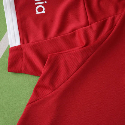 Liverpool Camiseta Local 2025/26 - CHAMPIONS 24/25 & Gold Trophy