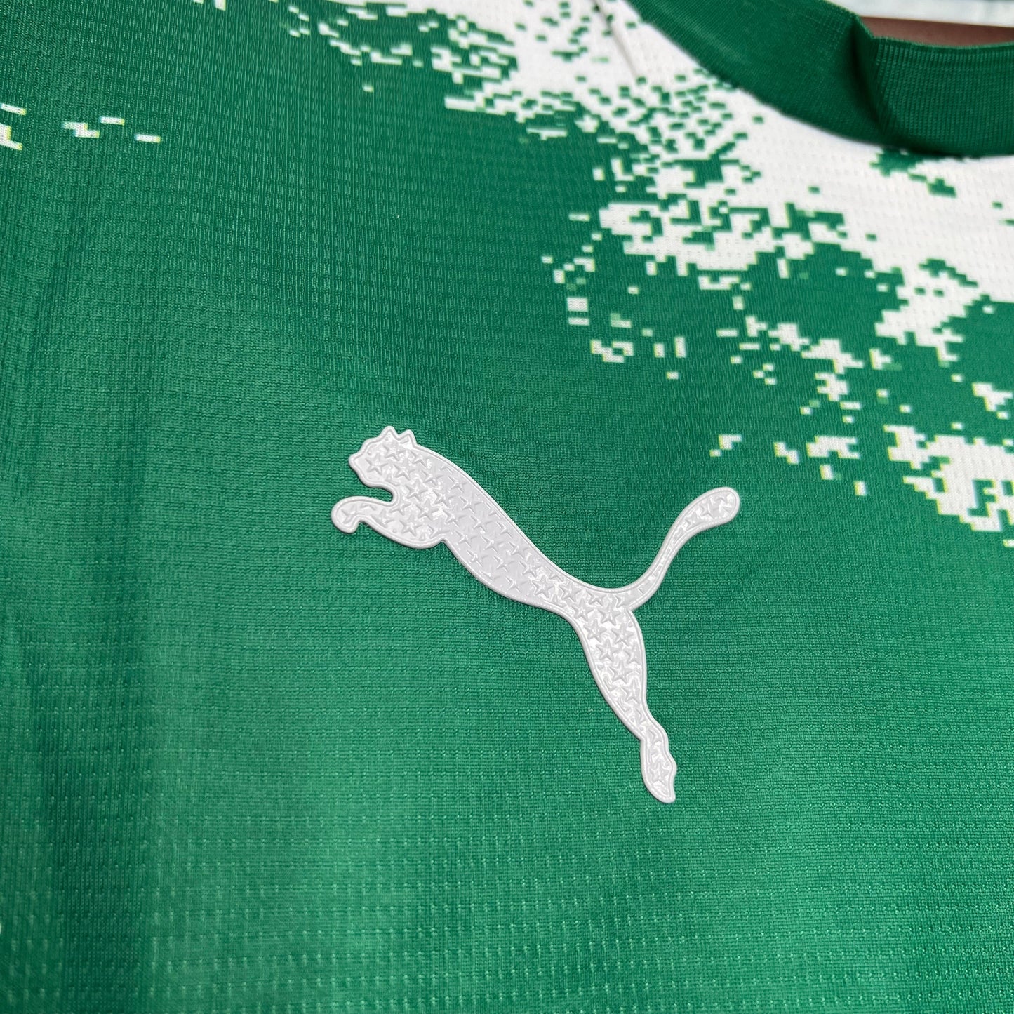Palmeiras Camiseta 2024/25 - Edición Especial