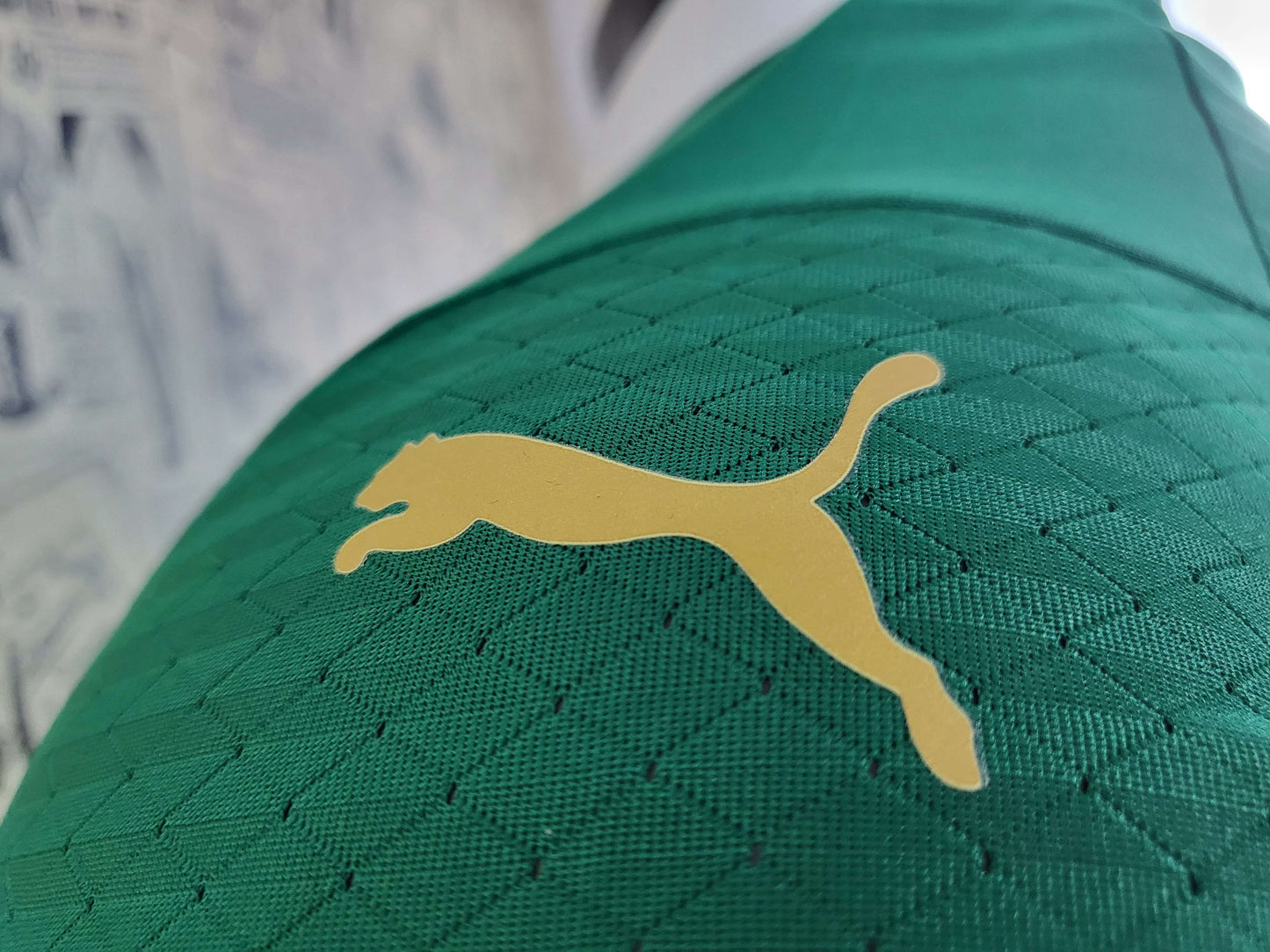 Palmeiras Player Camiseta Local 2024/25 - Versión Jugador